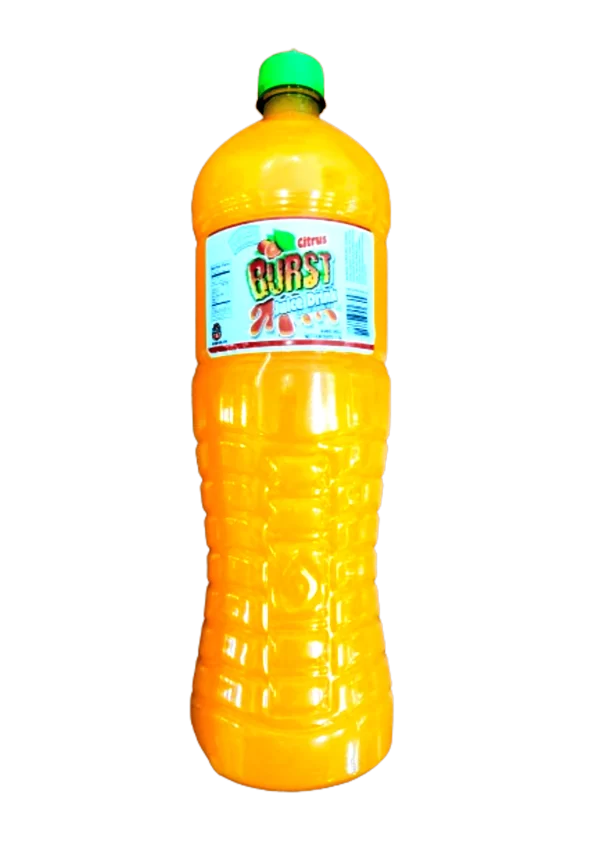 Citrus Burst Juice Drink 1.5 litres X 9 units