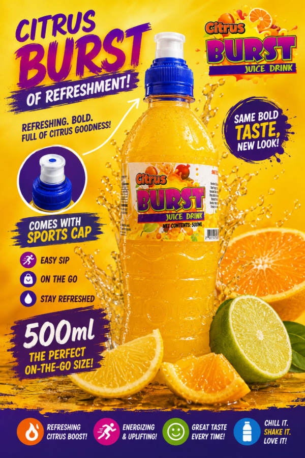 Burst Citrus Juice Drink 500 ml X 24 units