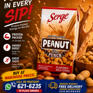 Serge -Peanut Punch Drink - 250 ml X 24 units