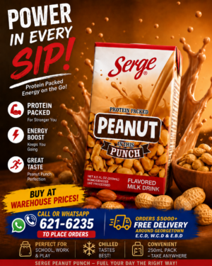 Serge -Peanut Punch Drink - 250 ml X 24 units