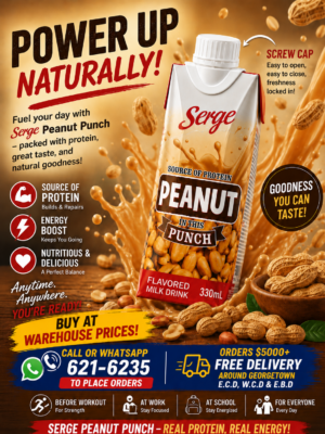 Serge - Peanut Punch Drink - 330 ml X 18 units