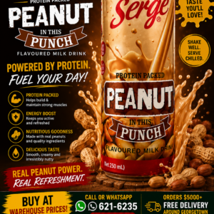 Serge - Peanut Punch Drink - 290 ml X 24 units