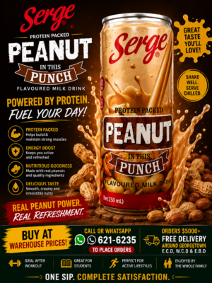 Serge - Peanut Punch Drink - 290 ml X 24 units