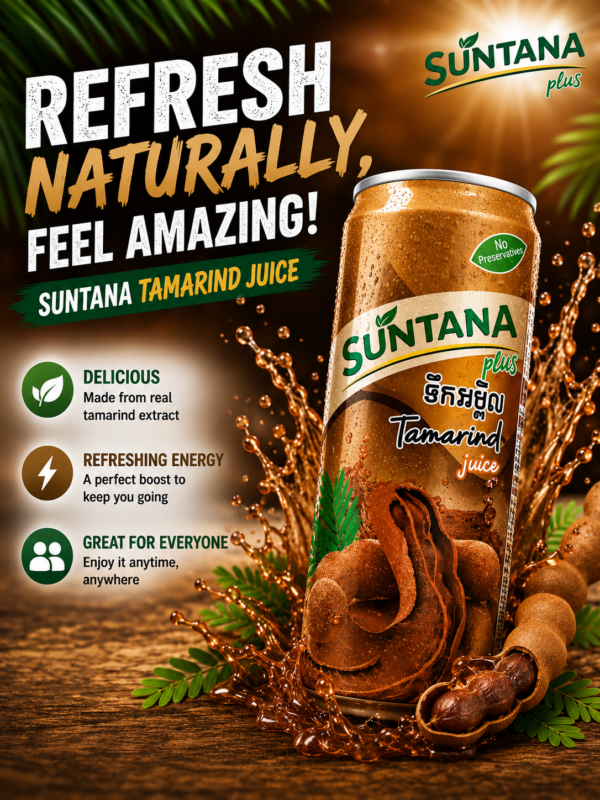 Suntana Juice - Tamarind 250ml X 24 Tins