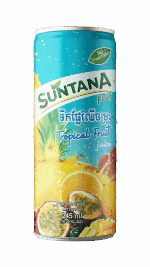 Suntana Juice - Tropical Fruit 250ml X 24 Tins